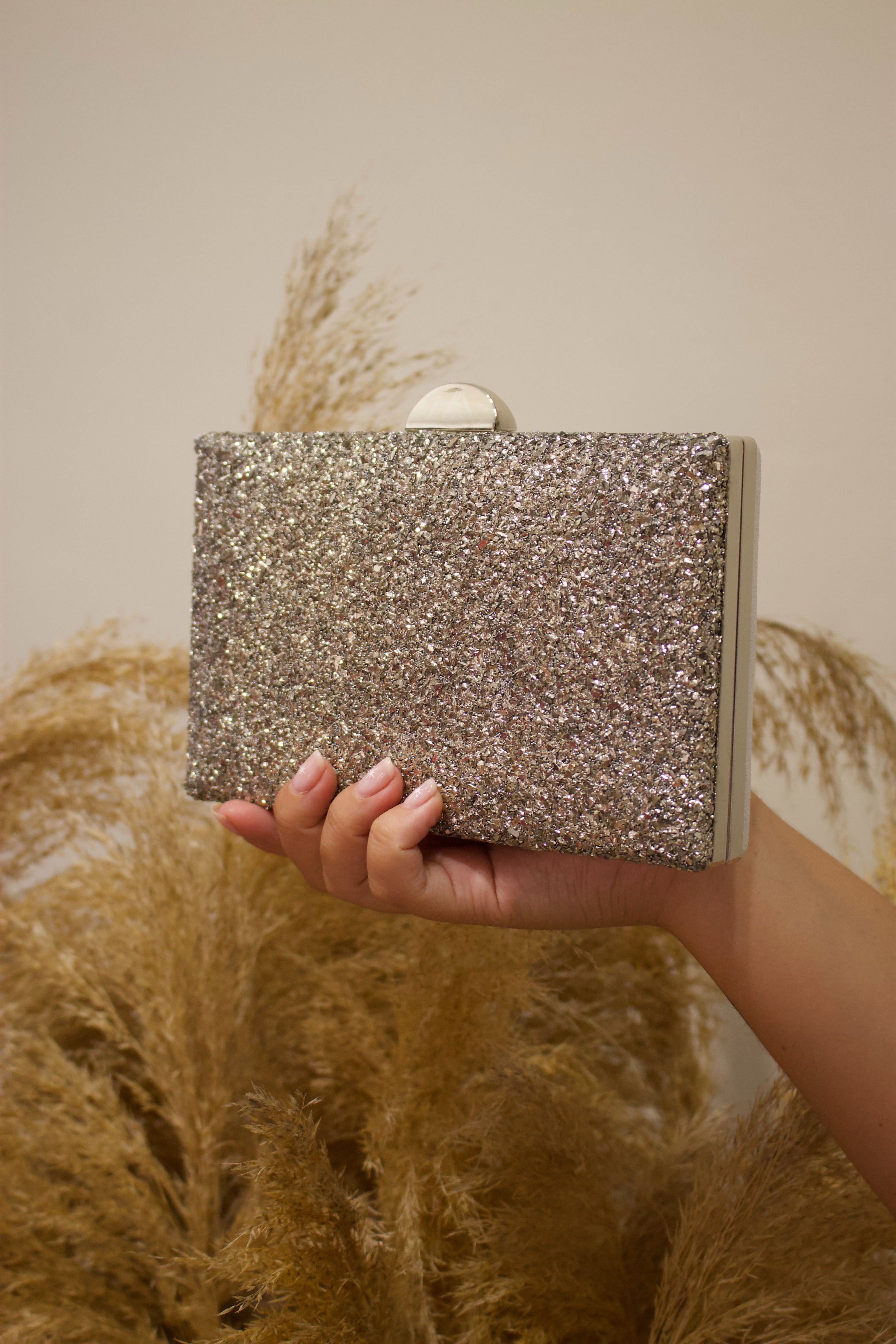 BOLSO MÍA SILVER